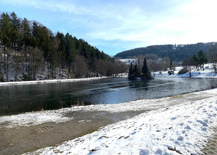 Apartamento Stylisches ✰ Skywalk ✰ Mit Parkplatz Willingen (Upland)